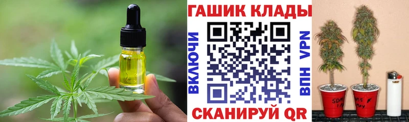 Купить закладки  Верхняя Пышма  Canna-Cookies конопля 