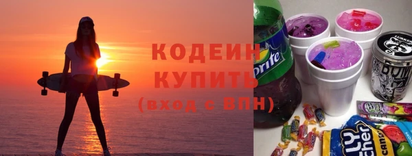 скорость Каменка