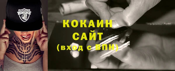скорость Каменка