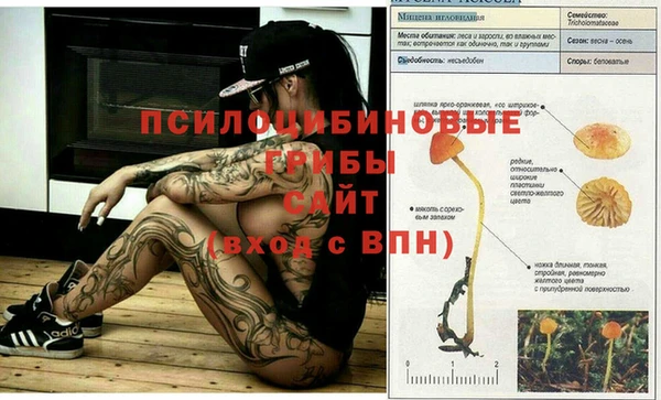 каннабис Каменногорск
