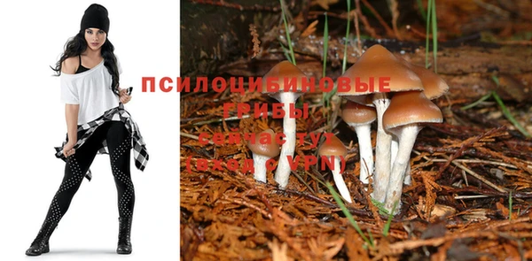 крисы Каменск-Шахтинский