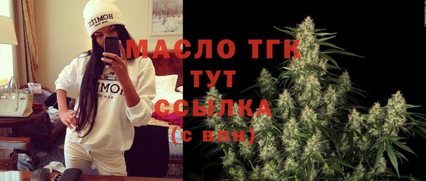 скорость Каменка
