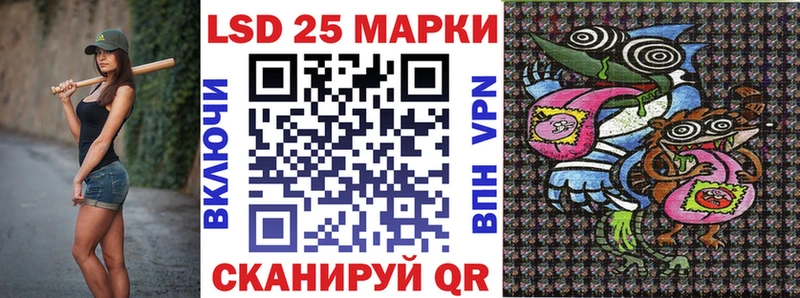 Марки N-bome 1500мкг  Купить закладки  Верхняя Пышма 