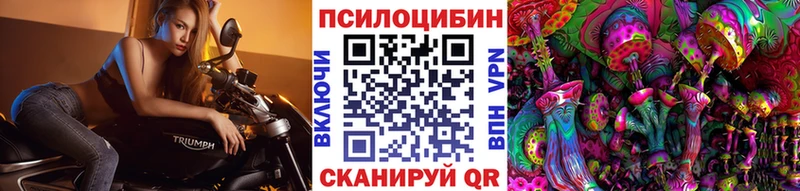 Купить  Верхняя Пышма  Псилоцибиновые грибы Psilocybe 